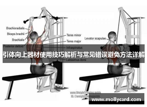 引体向上器材使用技巧解析与常见错误避免方法详解