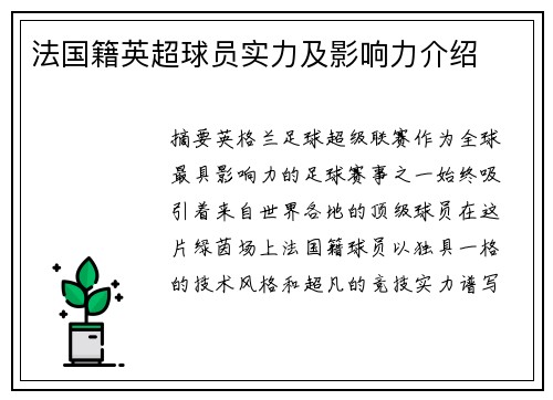 法国籍英超球员实力及影响力介绍